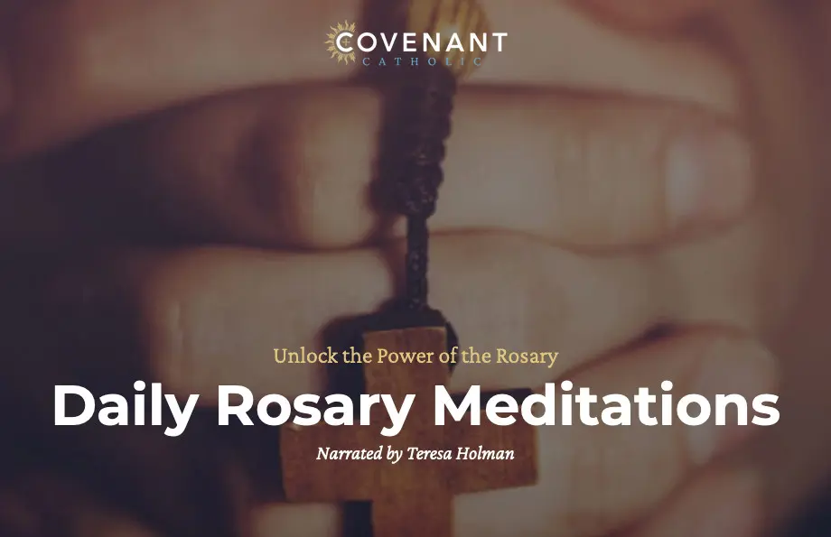 Rosary Meditations 2 Mobile