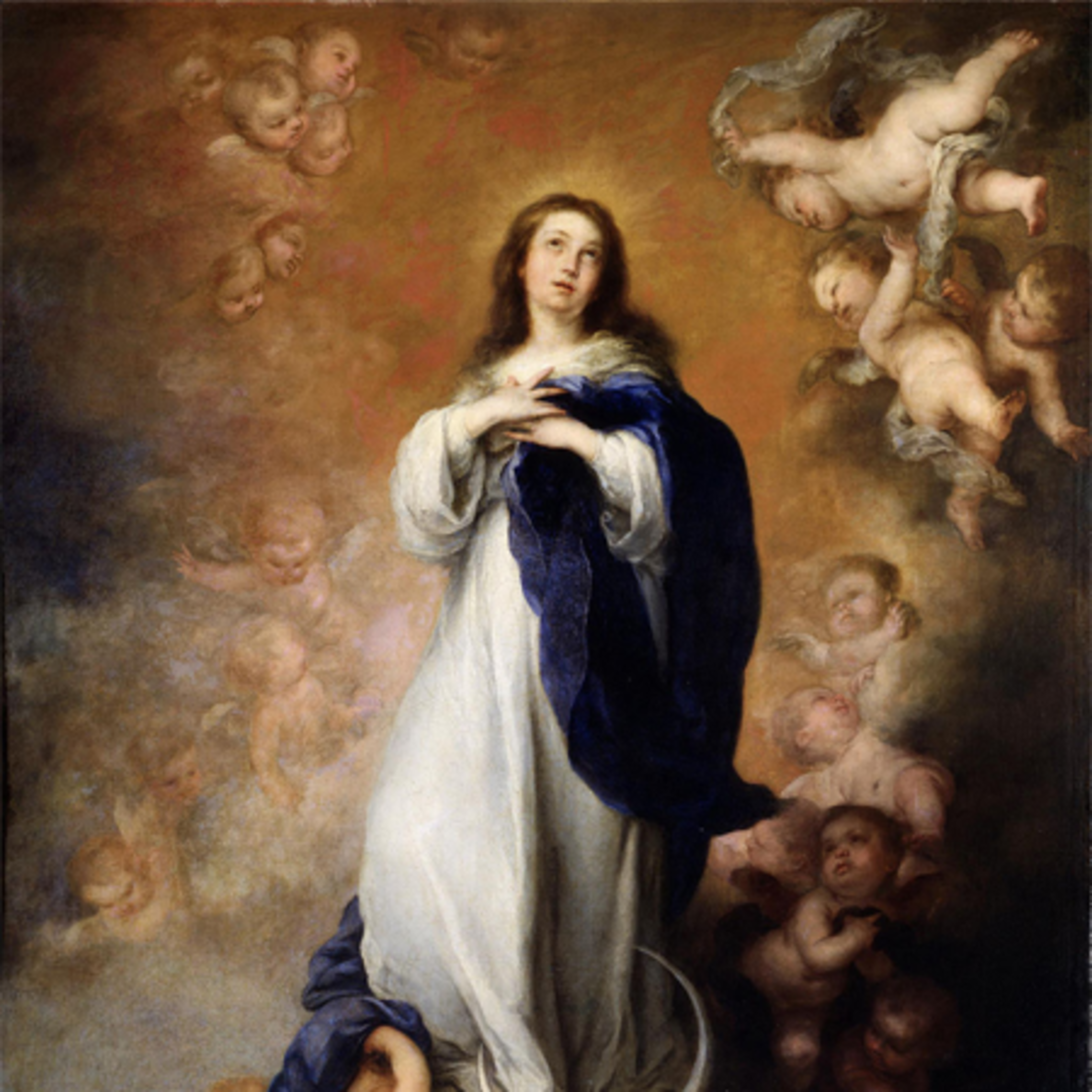 Show Image Splendor Of You2